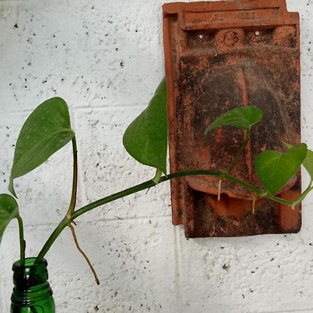 Adams Wood House Ayurveda Homestay Kochi Exterior photo