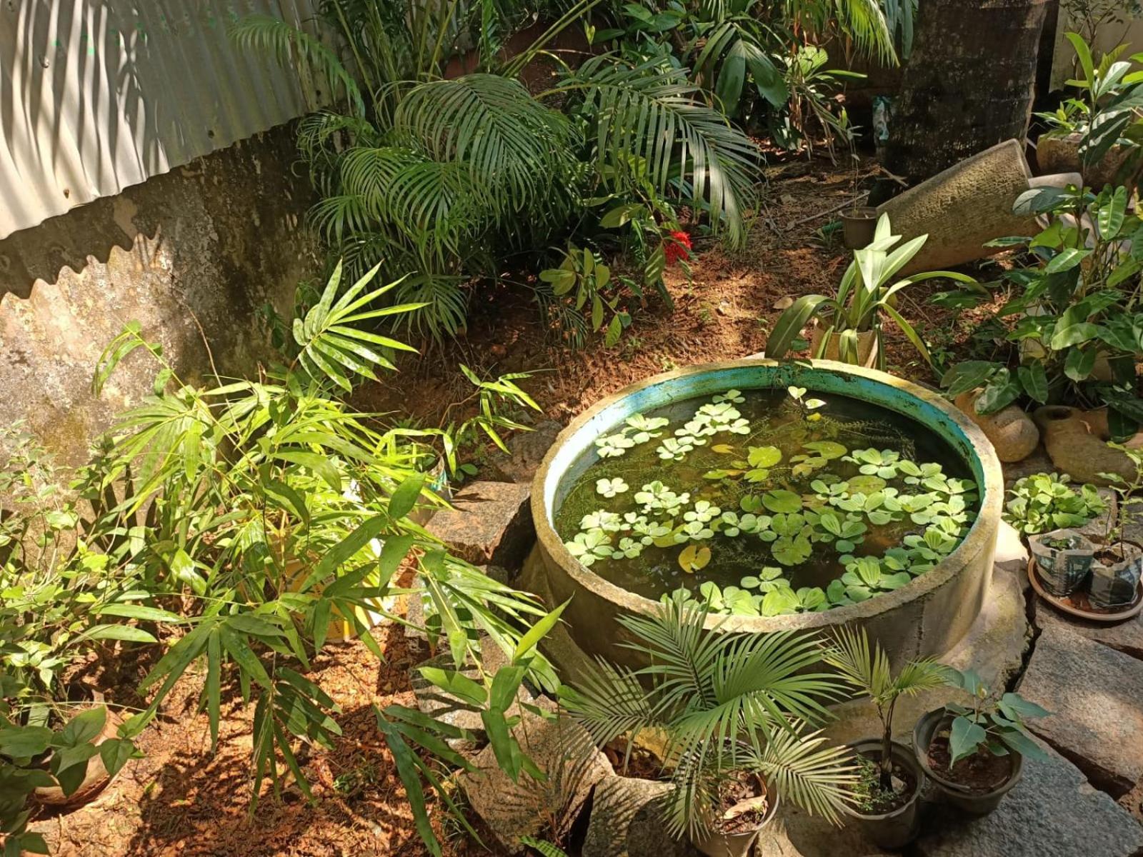 Adams Wood House Ayurveda Homestay Kochi Exterior photo